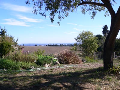 View from the Farm