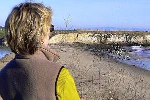 Why I Live Here….Wilder Beach