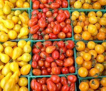 Fall Attractions: TomatoFest