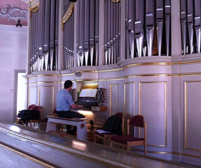 organ.jpg