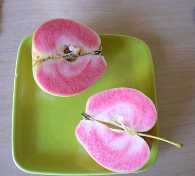 Tart & Pink……apples