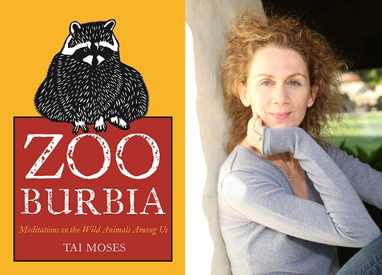 Zooburbia Booksigning – BSSC – May 13