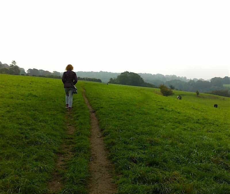 woman in fields